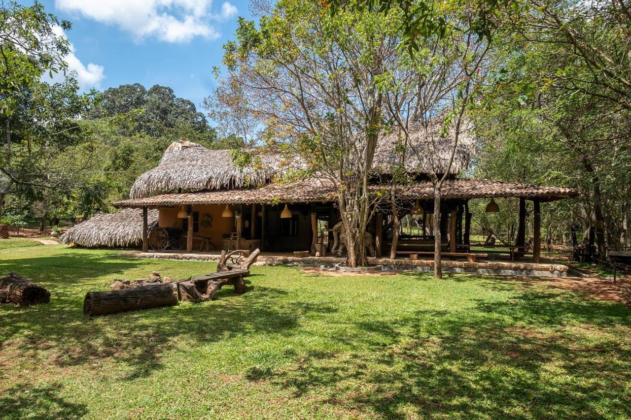 Banyan Camp Willa Hambegamuwa Zewnętrze zdjęcie