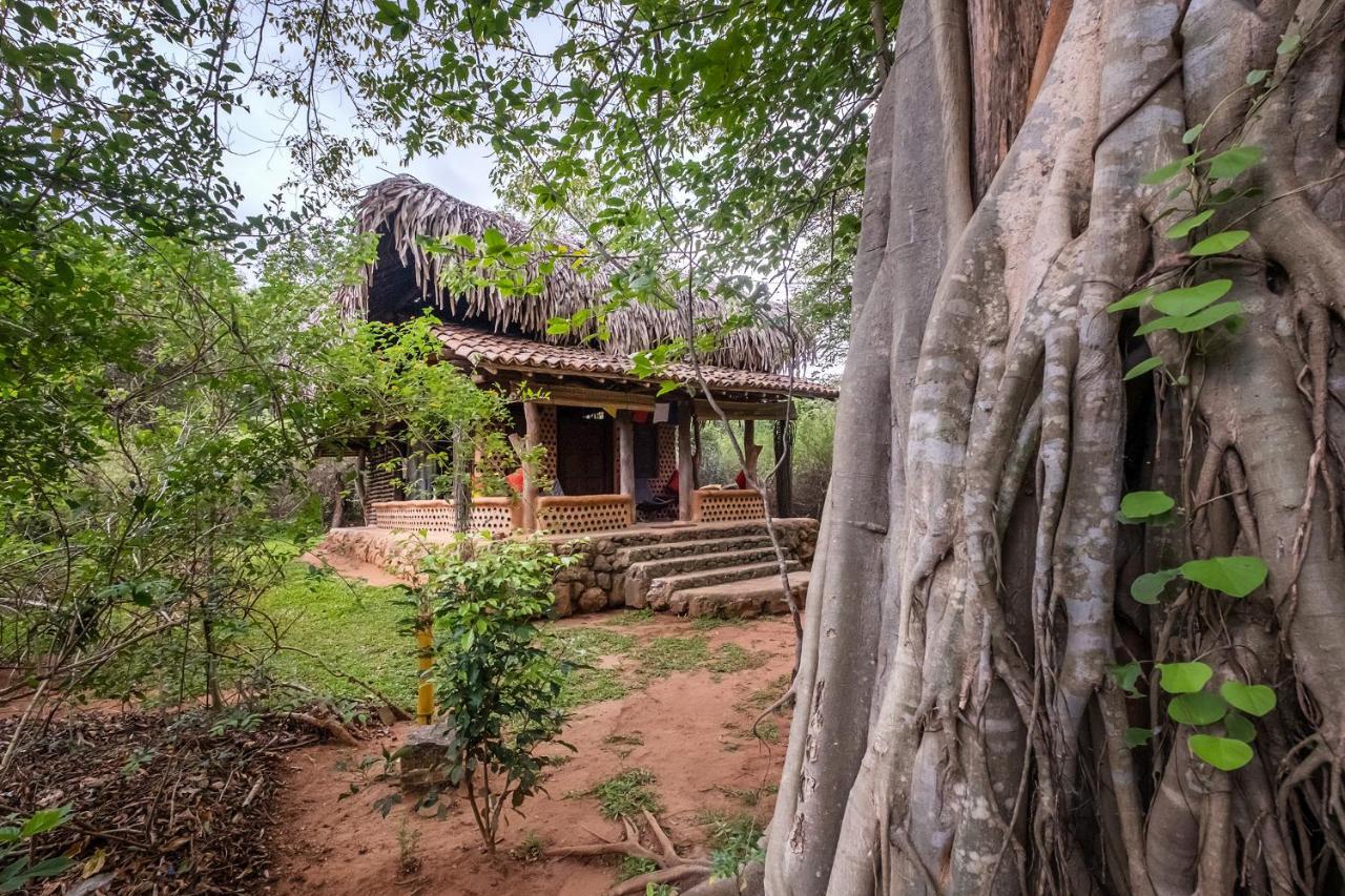 Banyan Camp Willa Hambegamuwa Zewnętrze zdjęcie