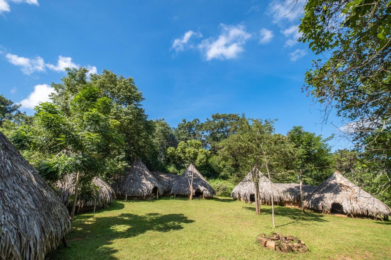 Banyan Camp Willa Hambegamuwa Zewnętrze zdjęcie