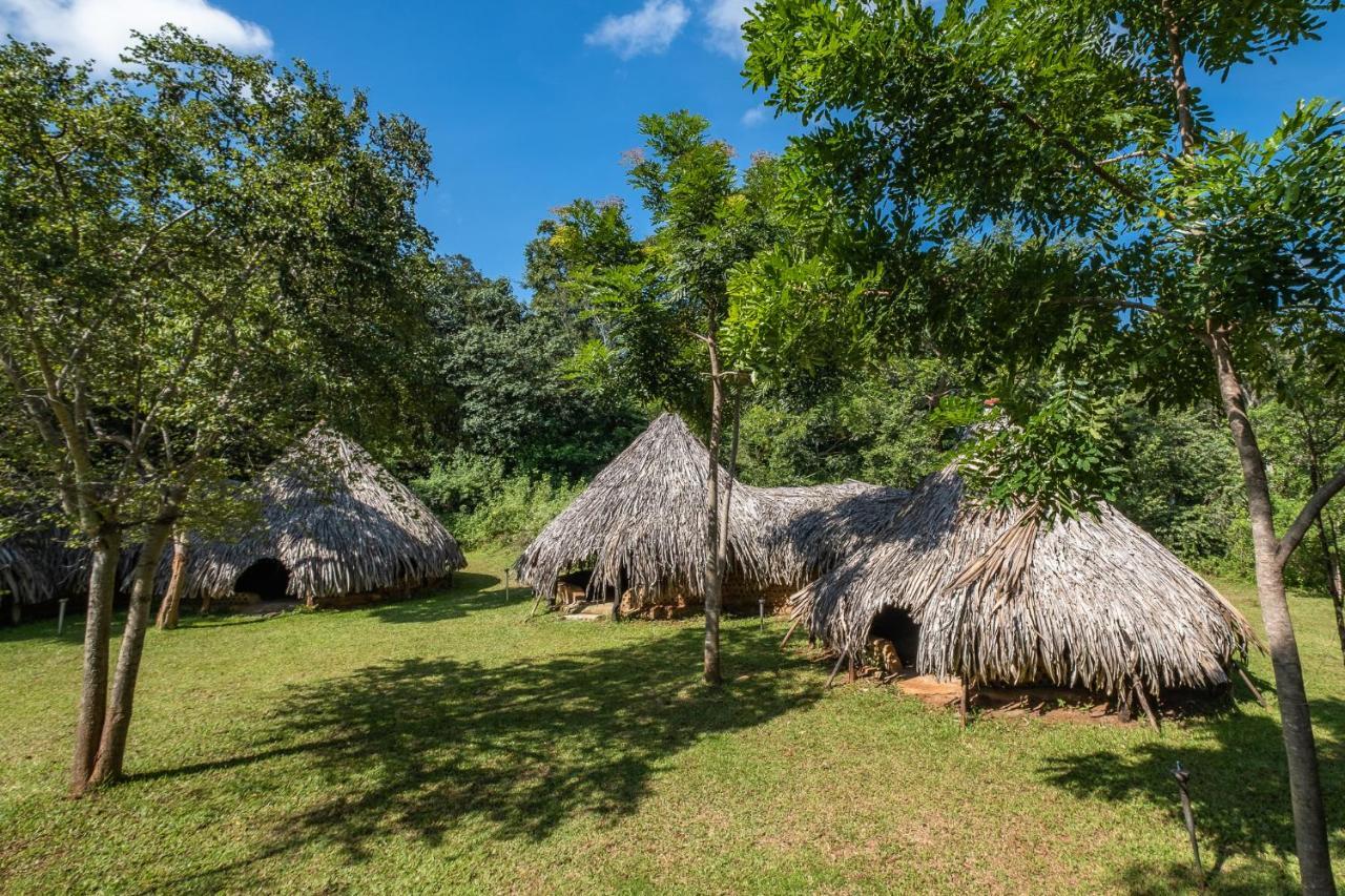 Banyan Camp Willa Hambegamuwa Zewnętrze zdjęcie