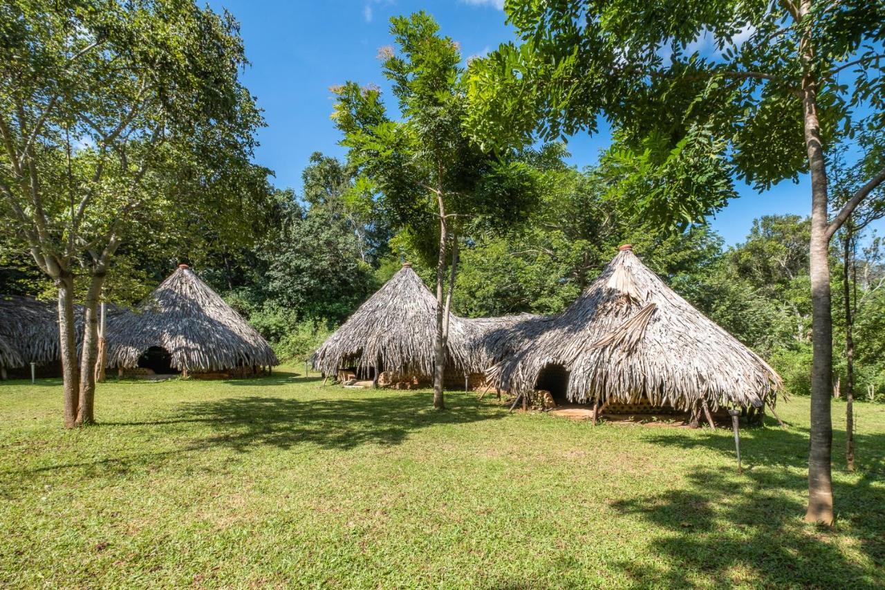 Banyan Camp Willa Hambegamuwa Zewnętrze zdjęcie