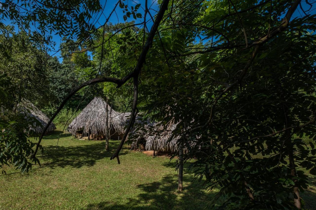 Banyan Camp Willa Hambegamuwa Zewnętrze zdjęcie