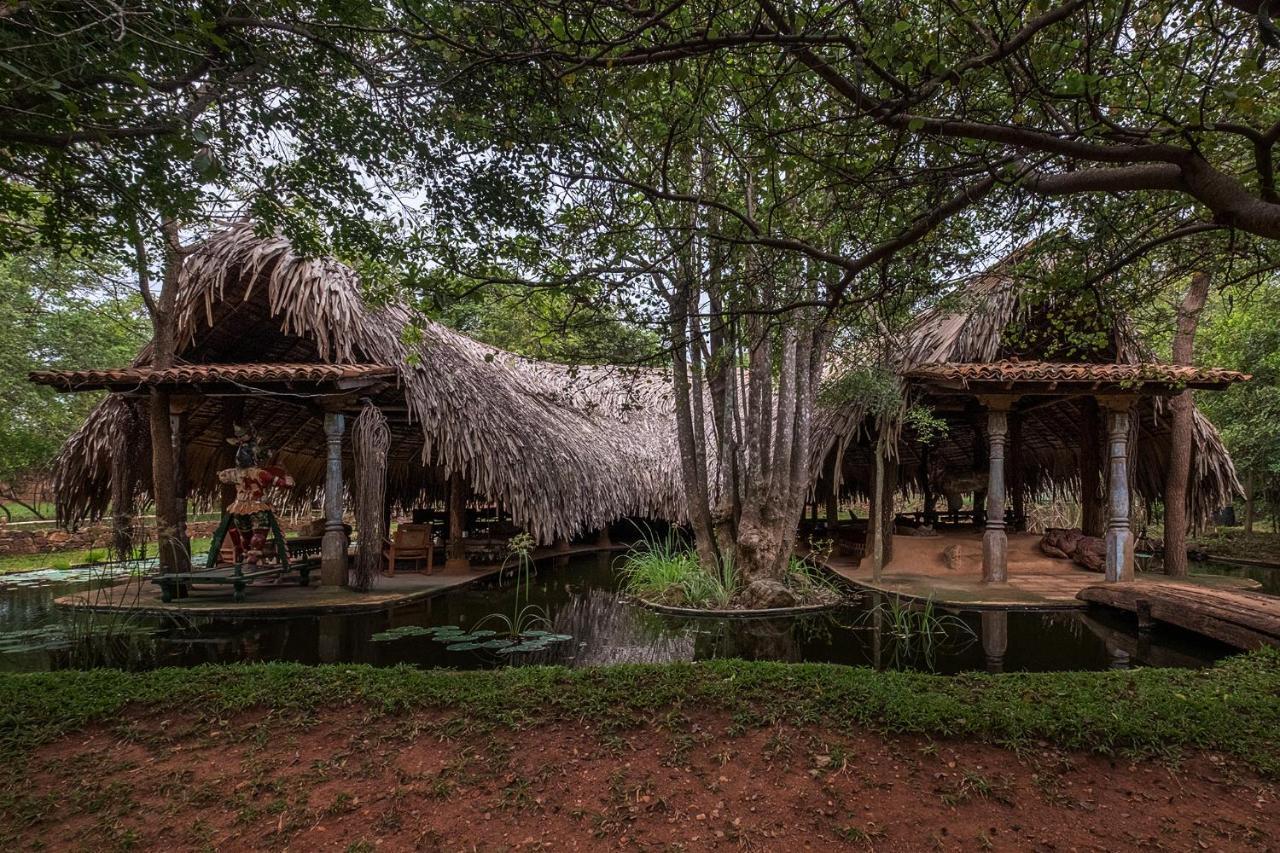 Banyan Camp Willa Hambegamuwa Zewnętrze zdjęcie