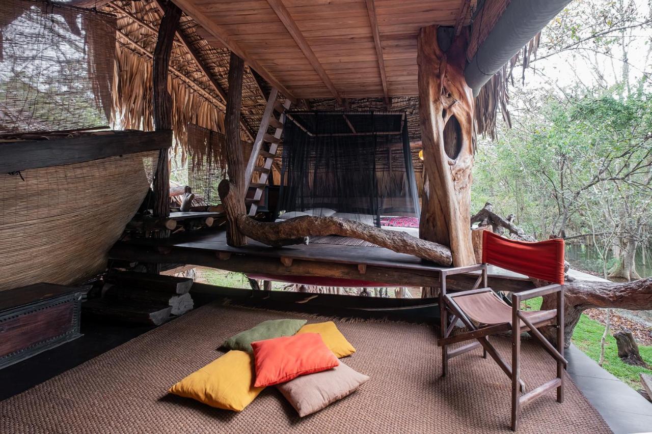 Banyan Camp Willa Hambegamuwa Zewnętrze zdjęcie